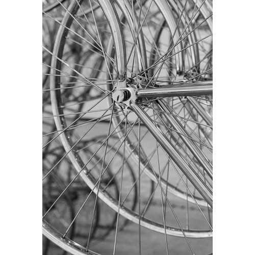 Hopkins, Cindy Miller 아티스트의 Metal bicycle wheels작품입니다.